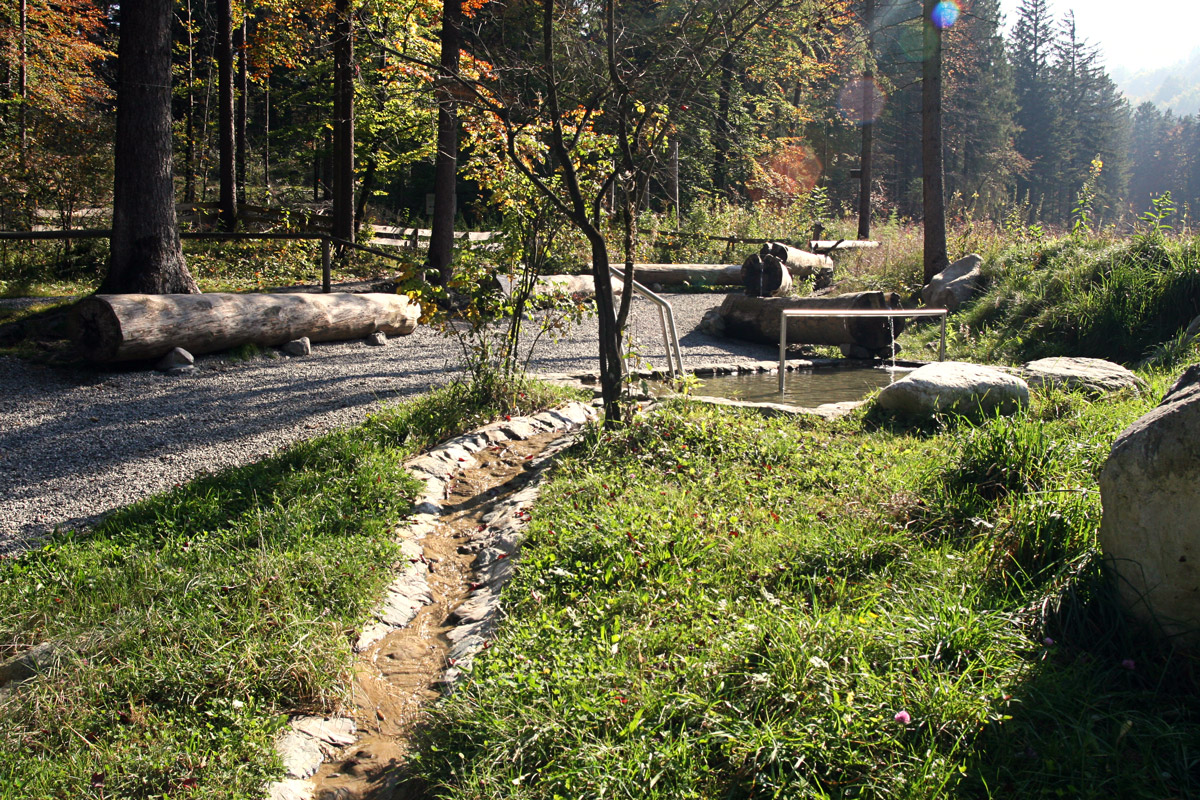 Kneippen im Galina Wald Vorarlberg