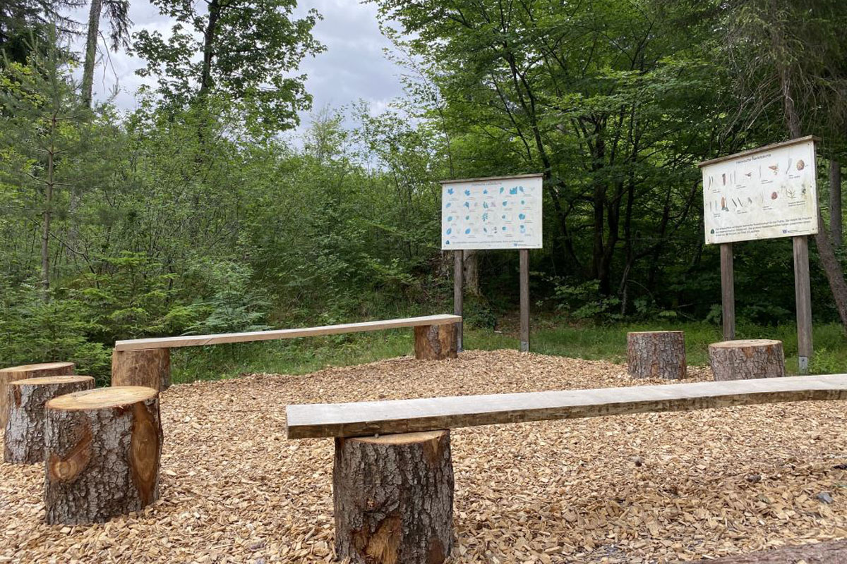 Kneippen im Galina Wald Vorarlberg